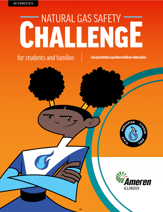 Ameren Illinois Intermediate booklet cove art