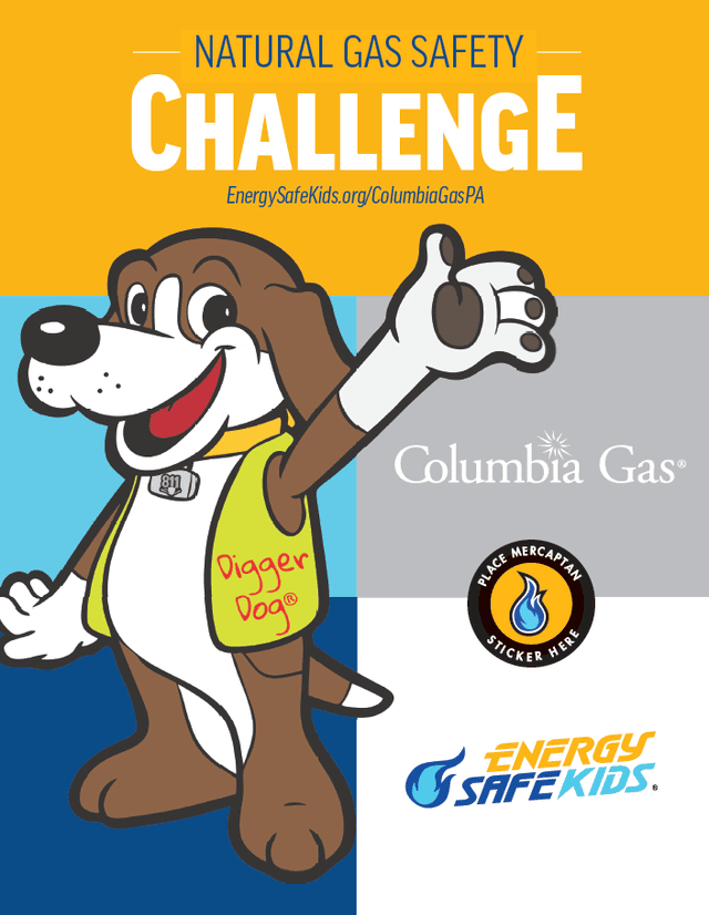 CGPA Gas Booklet Cover