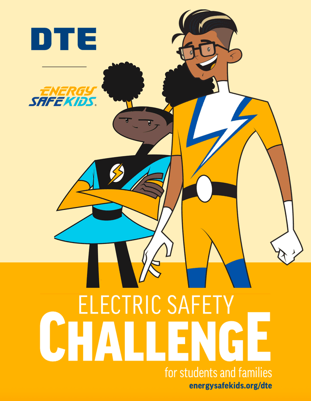 DTE Electric Screenshot