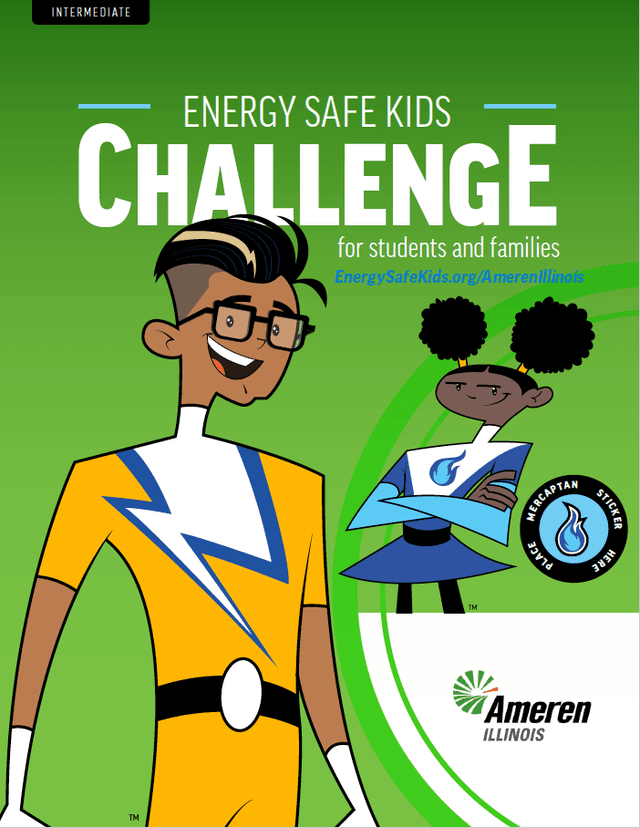 Ameren Dual fuel booklet cover art