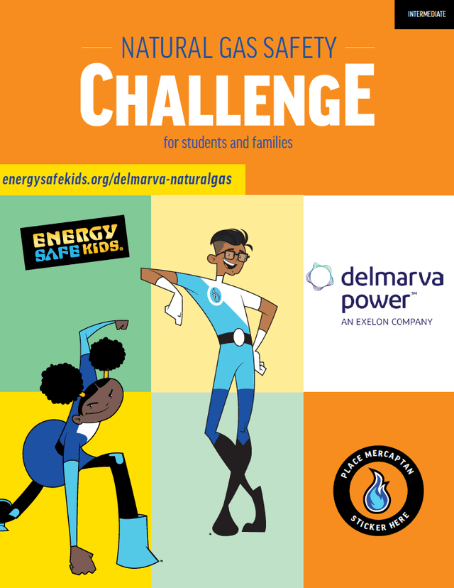 Delmarva intermediate booklet cover art