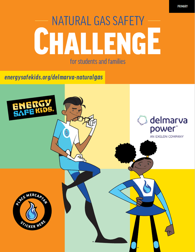 Delmarva Primary booklet cover art