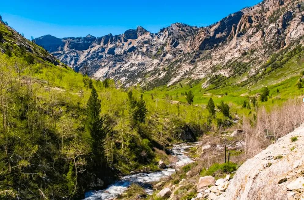 Great Basin nature