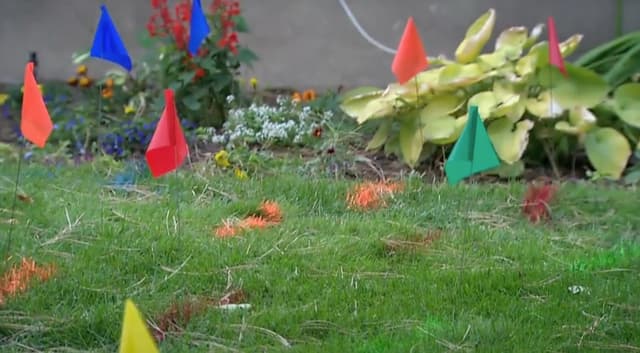 Marker Flags