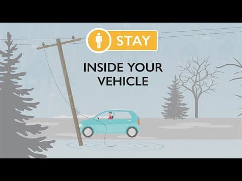 Downed Power Line Safety