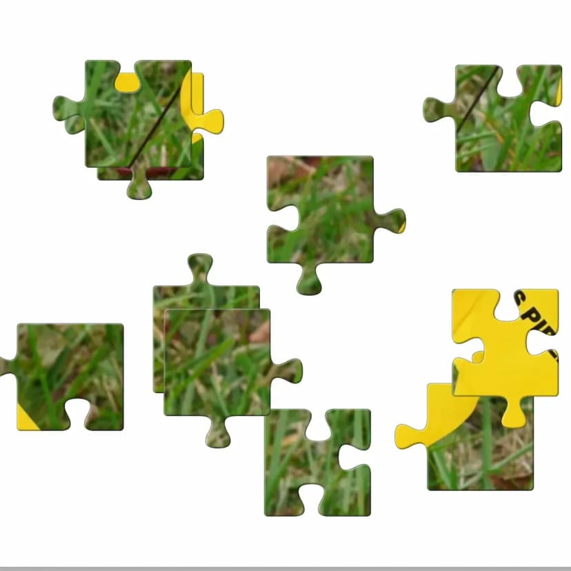 Gas Marker Flag game