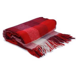 Red checkered blanket on a white background