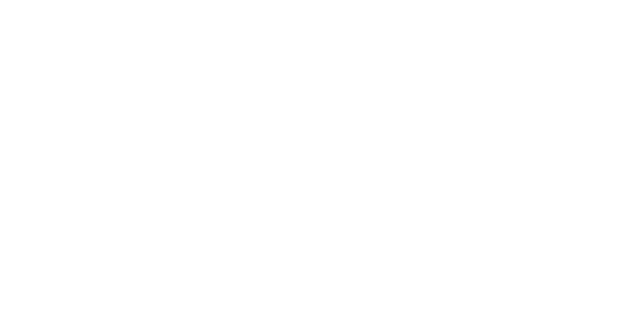 NEF Logo